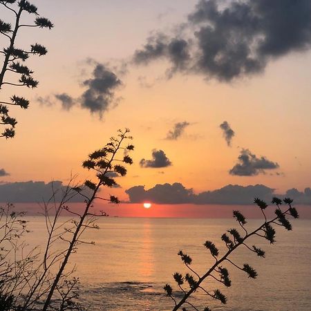 "Suliscenti" Dimora Siciliana B&B Avola Bagian luar foto