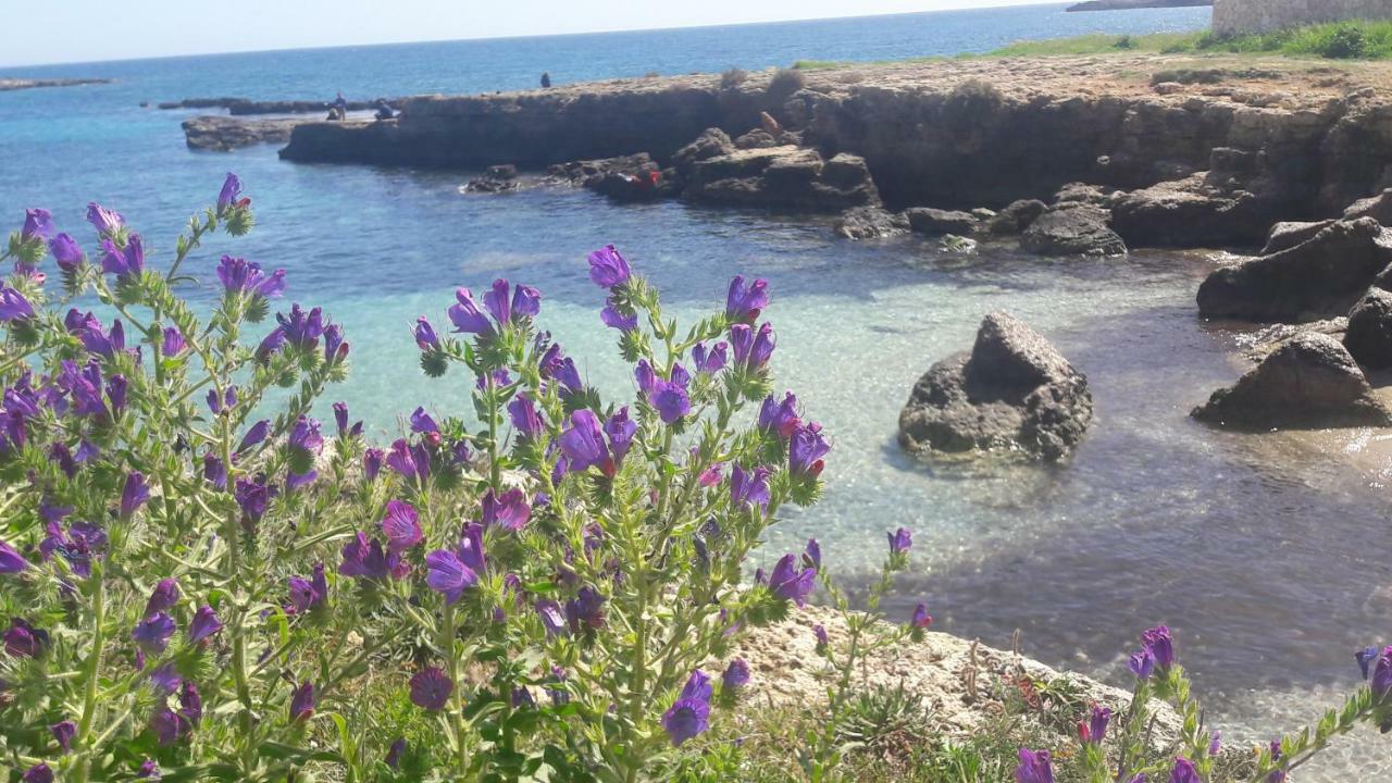 "Suliscenti" Dimora Siciliana B&B Avola Bagian luar foto