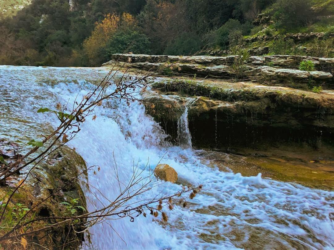 "Suliscenti" Dimora Siciliana B&B Avola Bagian luar foto
